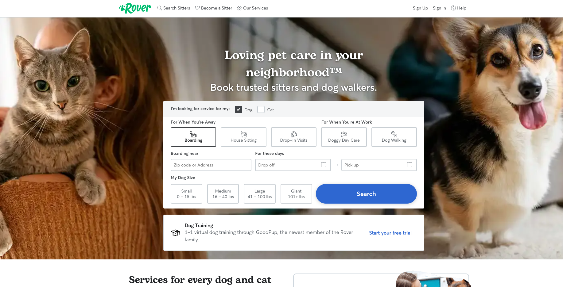 Pet Sitting and Dog Walking